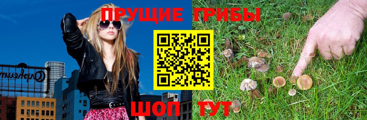Псилоцибиновые грибы MAGIC MUSHROOMS  Вход с VPN  Борисоглебск 